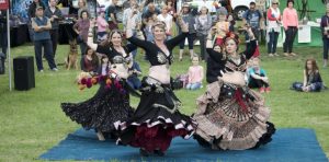 ECOSS Earth Festival